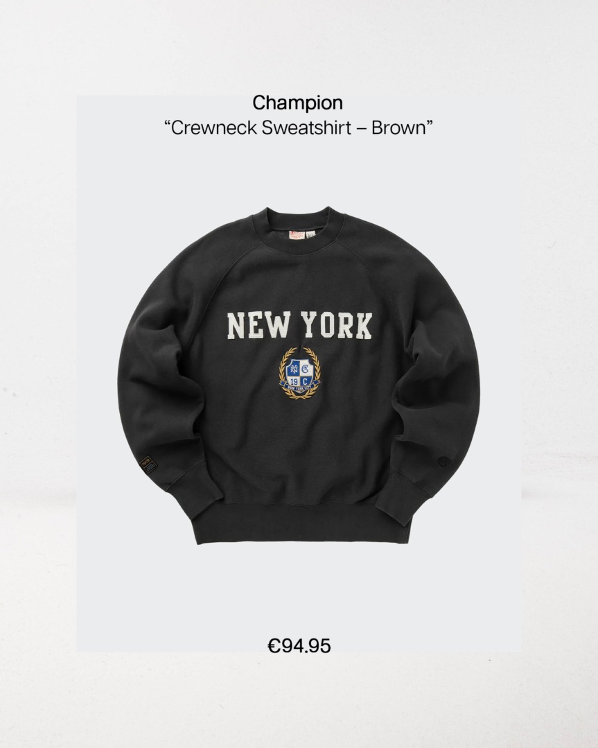 “crewneck sweatshirt – brown” fp