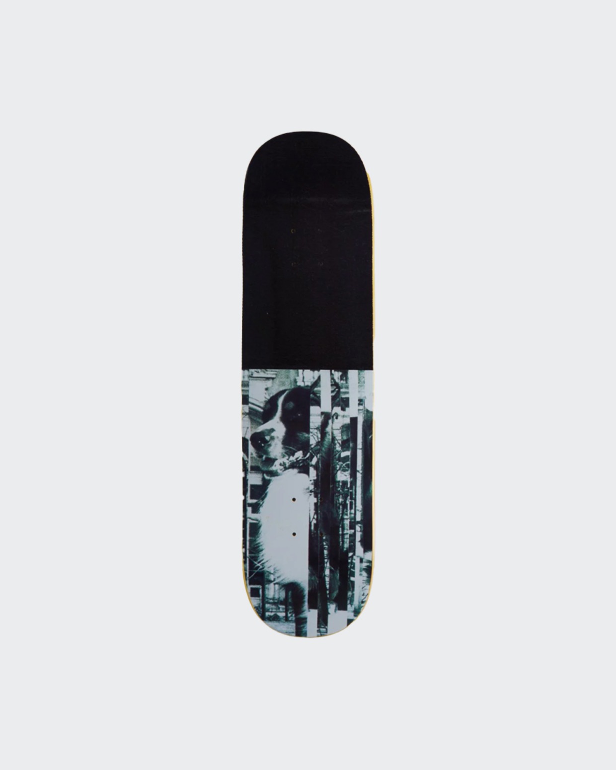 Rassvet Bauer Board