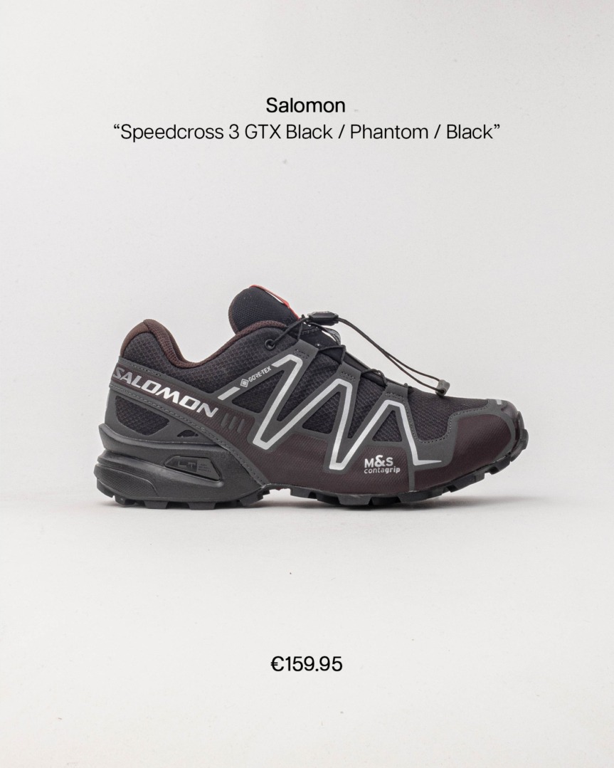 salomon alp fp 01