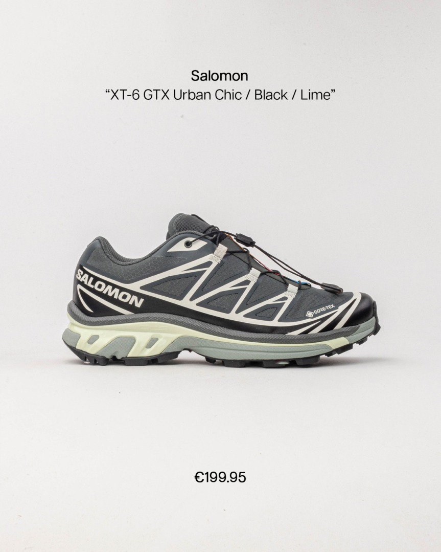 salomon alp fp 02