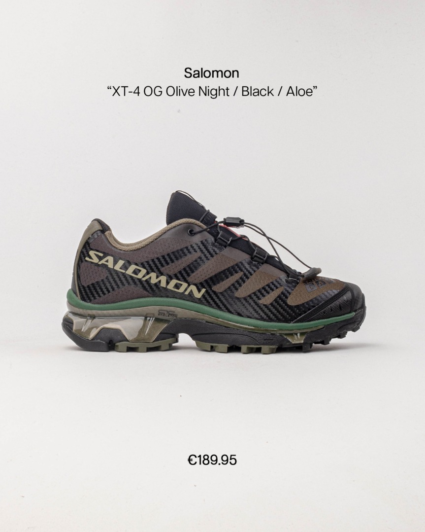 salomon alp fp 03