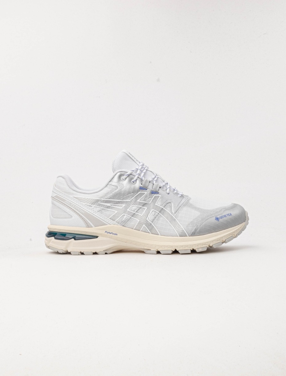 Asics Gel-Terrain GTX