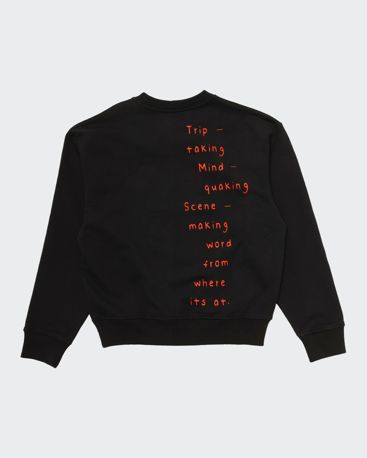 Sabbatical Trip Taking Crewneck